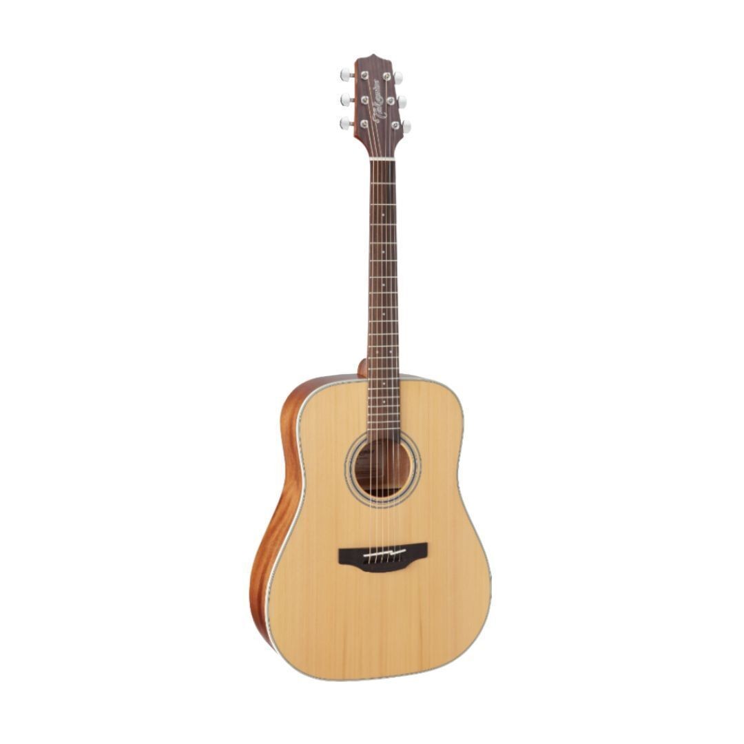 Takamine G Series GD20 Dreadnought Acoustic Guitar (Natural Solid Top)