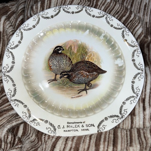 2 (two) Vtg. C.J. Malek & Son Hampton, Nebraska Plates-D.E. McNicol E.Liverpool