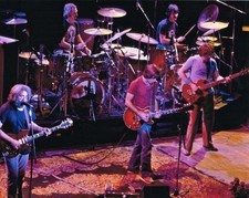 THE GRATEFUL DEAD - 8" x 10" Photo Print
