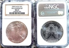 2000 Millennium Set NGC MS67 American Silver Eagle NGC Brown Label
