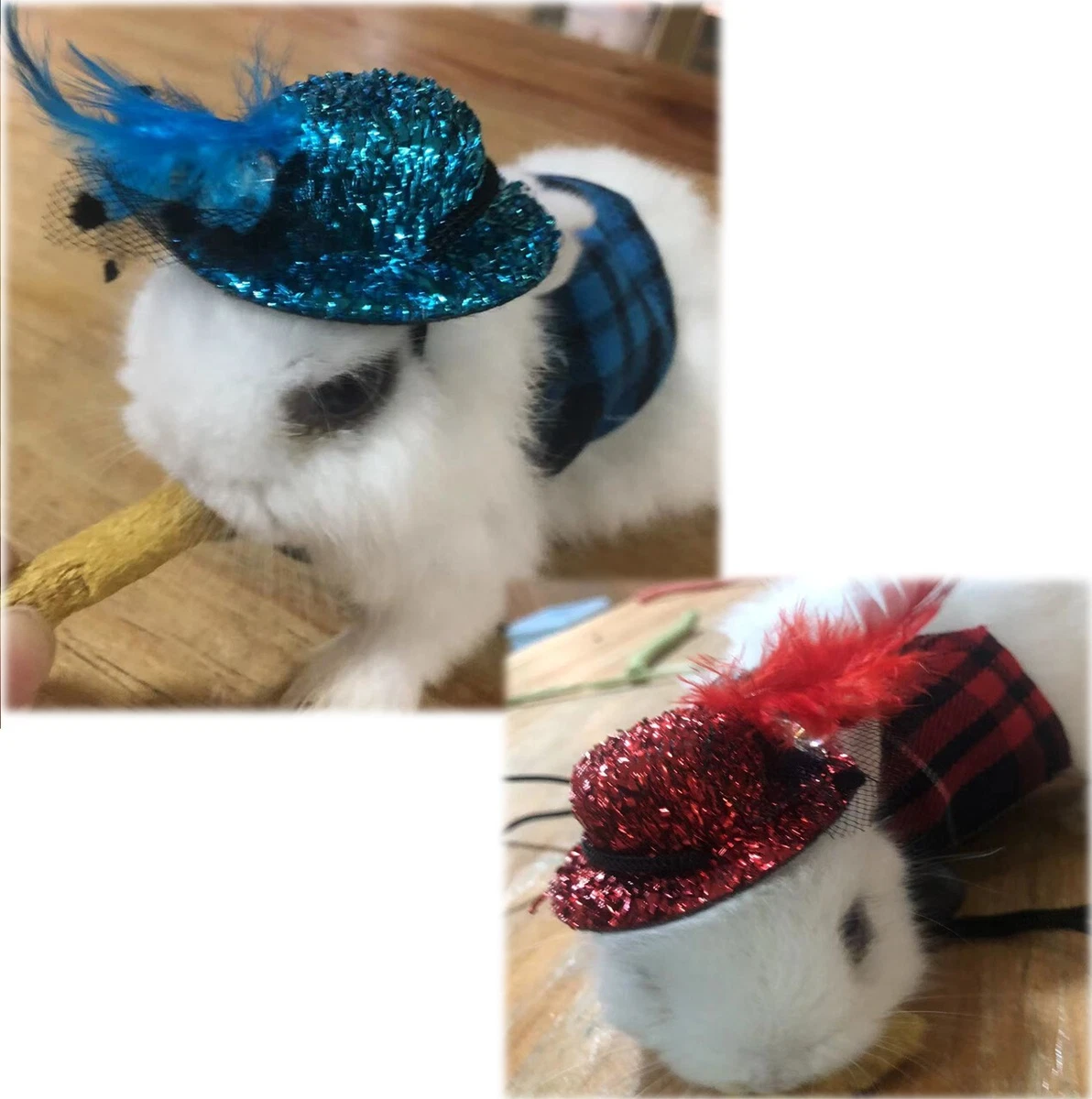Guinea pig top hat sales