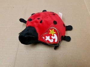 ladybug beanie baby