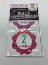 New Milestone Photo Prop Sticker Set Pink and Purple Flowers with Months