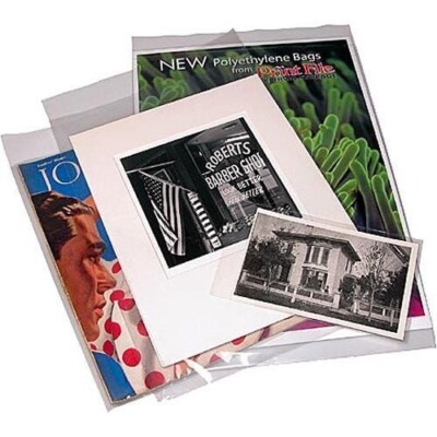 Printfile Polyethylene Bag With 2in Flap 4mil 9-3/8X12 - 9 Inch X 12 Inch