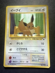 133 Eevee | eBay