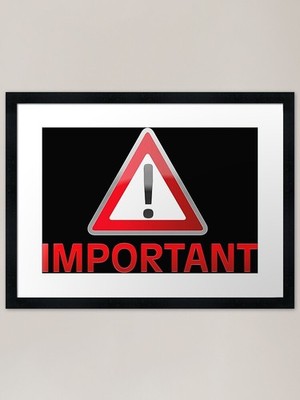 Very Important Baby Framed Art Prin Framed Wall Art Poster Canvas Print Picture