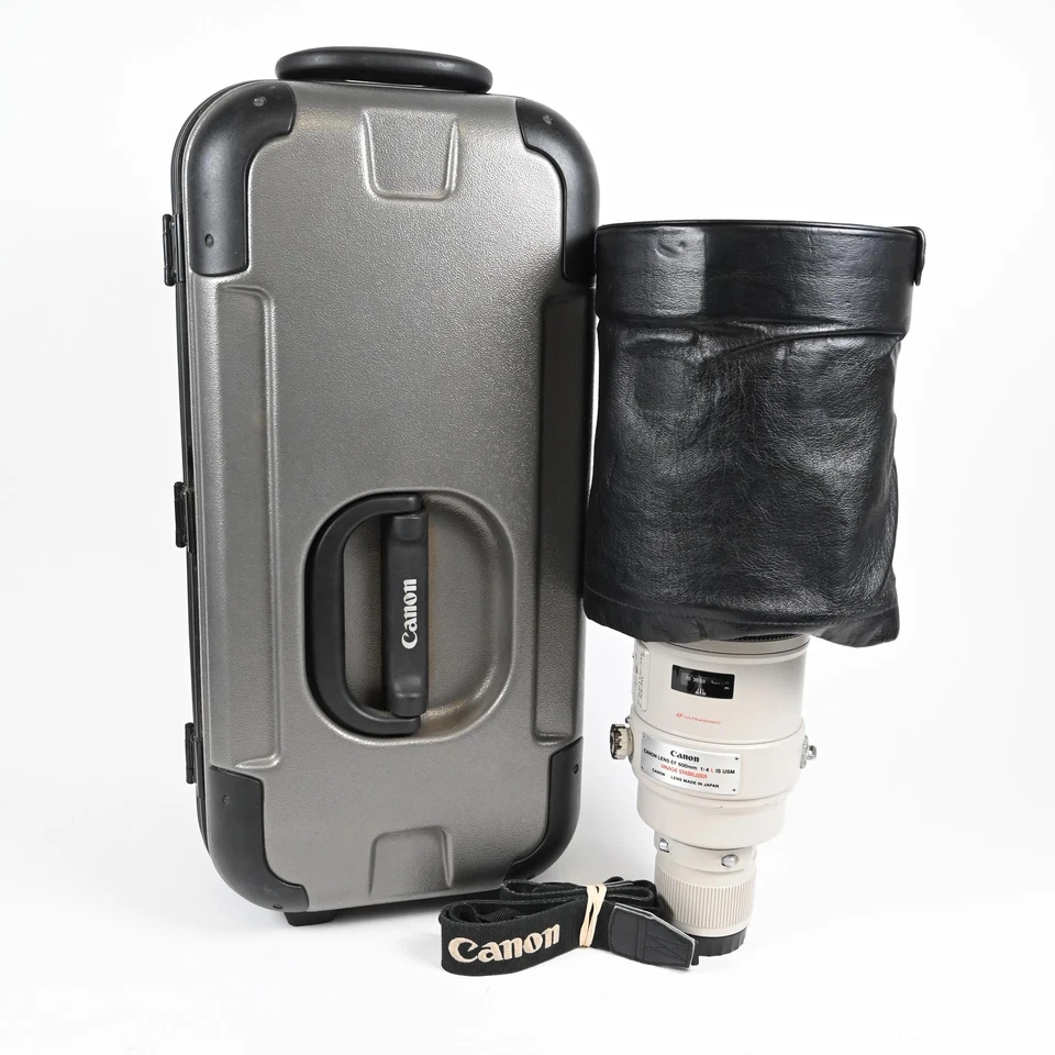 Canon EF 600mm f4 L IS USM Lens #314