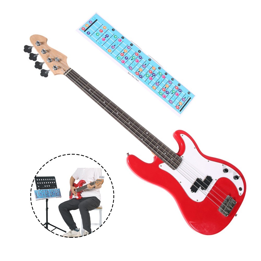 Graphique manche guitare basse code couleur améliorez votre expérience d'appre