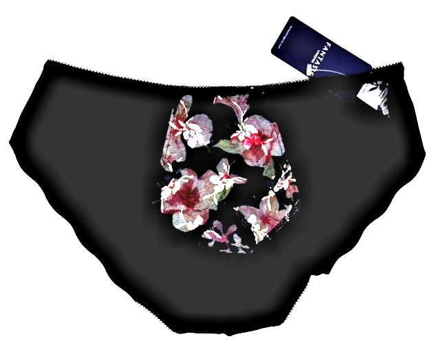 FANTASIE Annalise Printed Swiss Designed Embroidered Knickers S UK 10 BLACK BNWT