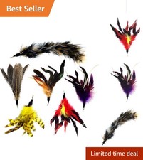 Quality 6-Piece Cat Toy Refill Pack - 5 Exciting Feathers  Customized Tail