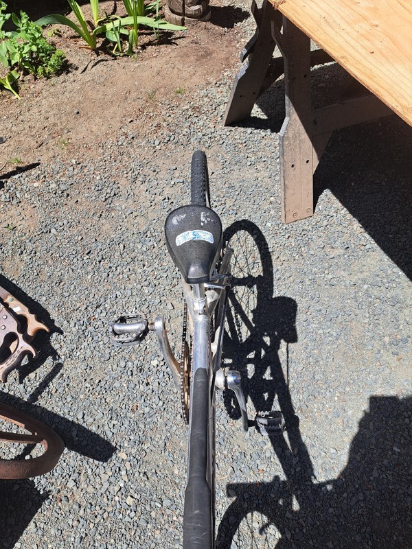 Proline  Bike 20 in Silver 1-Speed Caliper Brake BMX Bars Adjustable Seat cash