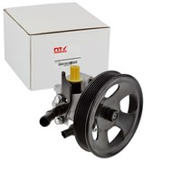 NTY Servopumpe Hydraulisch Passend FüR Hyundai Santa | SPW-HY-510