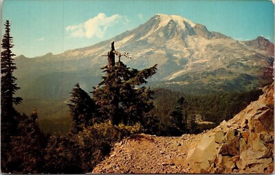 Mount Rainier From Trail Pinnacle Peak Nationa Park Postcard UNP VTG Mirro