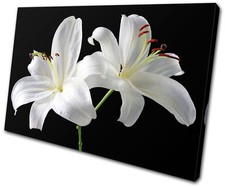 Floral Flowers SINGLE CANVAS WALL ART Picture Print VA