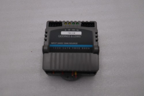 GIDDINGS & LEWIS M.1300.7372 R1 Input Module 24VDC SINK/SOURCE STOCK 625-D - 第 1/4 張圖片