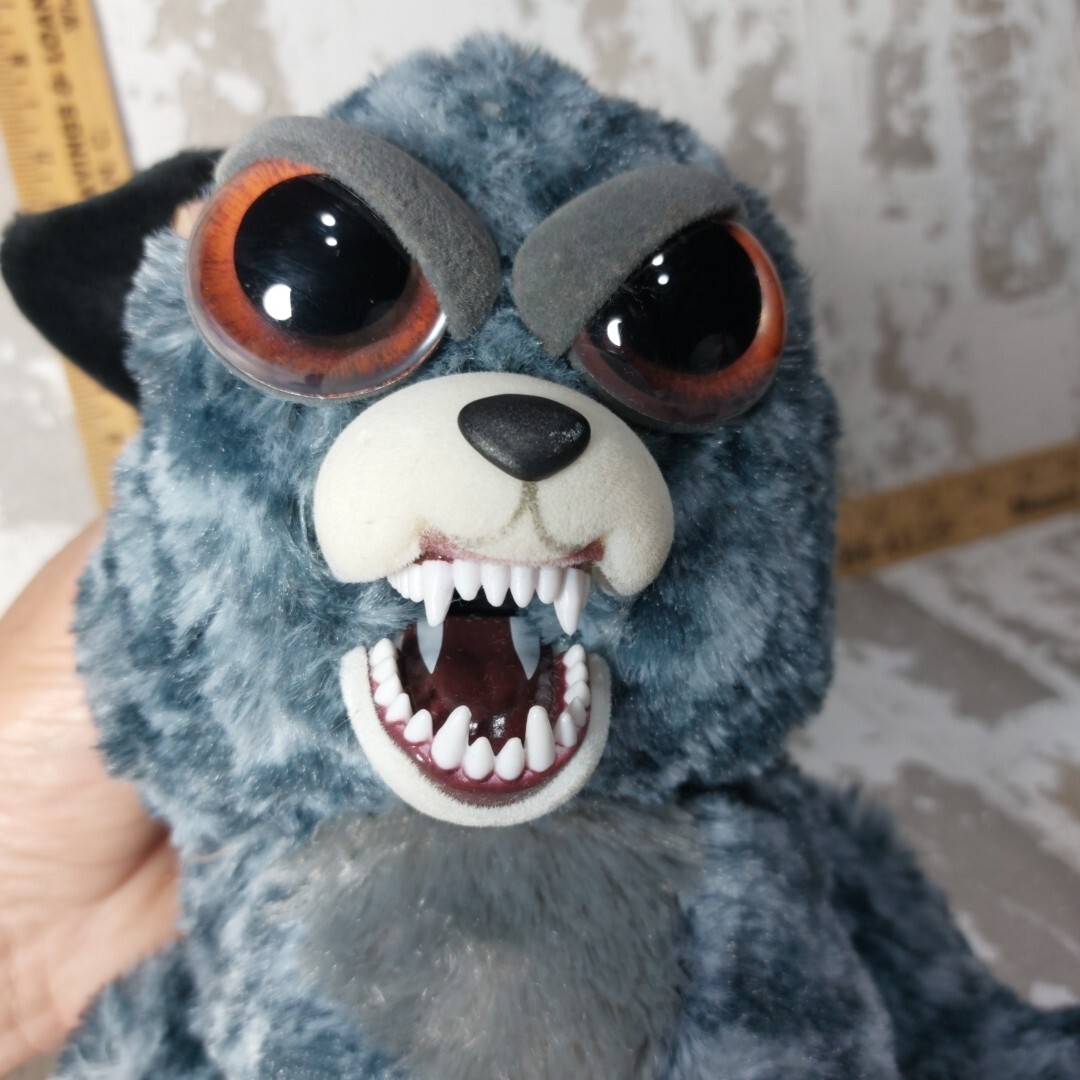 Feisty Films All Feisty Pets Karl The Snarl Feisty Films (Feisty Pets