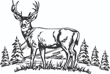 Deer Scene Wildlife Decal  14 X 9 Large White