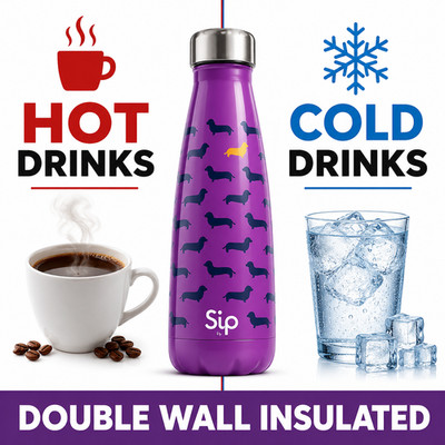 16 Pack Sip by S'well Top Dog 15oz Insulated Bottles Purple Dachshund
