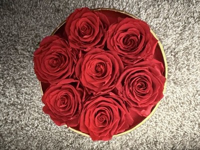 Forever Roses Last Forever Circle Box Gift Set Wedding Anniversary