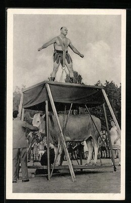 Postcard Milo Barus lifting a cow, ex-strongest man in the world 