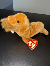 Ty Beanie Baby PAUL the Brown Walrus (7 Inch) NEW MWMTs Stuffed Animal Plush Toy