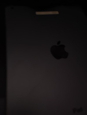 Apple iPad Tablet Gray Apple iPad Series Model Gray Color