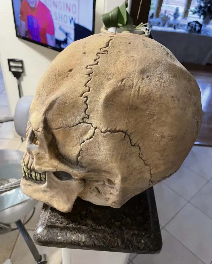 Disfraz de Rubí Máscara Calavera Superior Deluxe Talla Adulto Foto 2 de 4