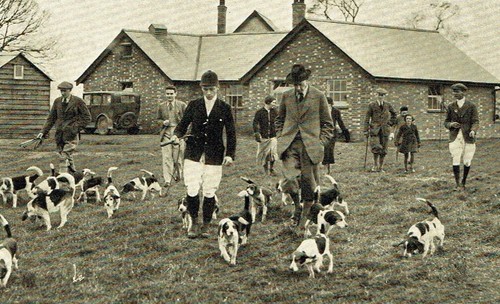 Trinity Foot Beagles 1936 3 Page Photo Article Q299