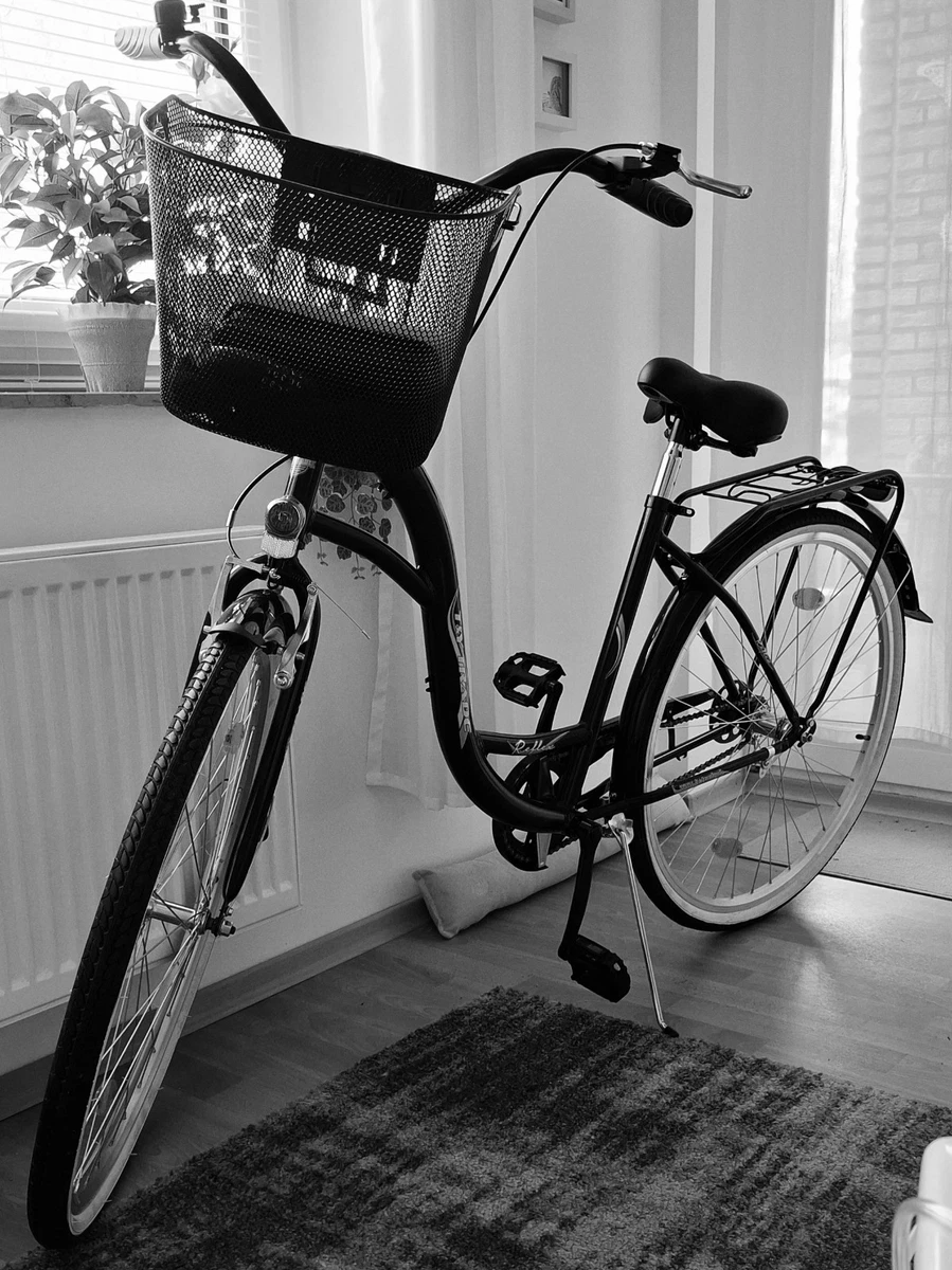 Damenfahrrad Citybike online kaufen | eBay.de