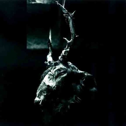 Blue Sabbath Black Cheer - Dead Death Death Dead LP Vinyl Record NEW HARSH NOISE - 第 1/1 張圖片
