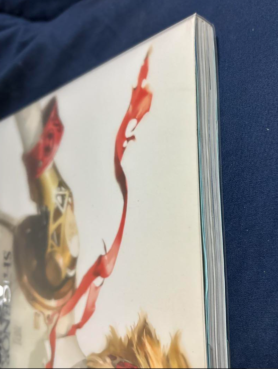 Shigenori Soejima: Art Works, 2004-2010 : Soejima, Shigenori - Foto 10