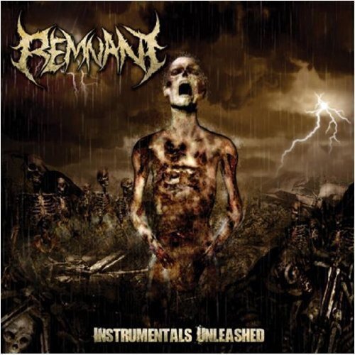 The Remnant Instrumentals Unleashed (CD)