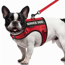 Service Dog Vest for Small Dogs - Air Mesh Breathble Emotional Support Animal...