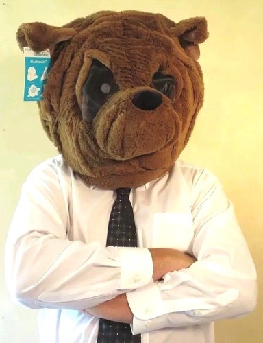 Maskimals BULLDOG Mask Mascot Head Furry Halloween Costume Puppy Dog New Dan Dee
