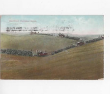 Combined Harvester Scene Walla Walla Washington 1911 horse-drawn combines