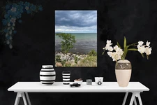 Photo Digital Image Picture Wallpaper Background Cloudy sea duck JPG Wall Art