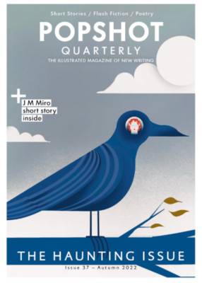 POPSHOT QUARTERLY ILLUSTRATED MAGAZINE | ISSUE 37 | THE HAUNTING ISSUE