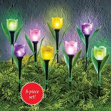 SkyMall Decorative Solar Tulip Stake Lights - Set of 8