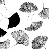 20 Cocktailservietten Ginkgo BläTter Baum Edel Schwarz Weiß Natur Deko 24X24Cm