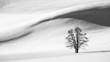 Landscape nature trees winter snow hills monochrome Custom Gaming Mat Desk