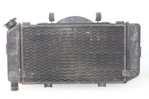 GRILLE GRISE DE PROTECTION DE RADIATEUR YAMAHA POUR MT-09