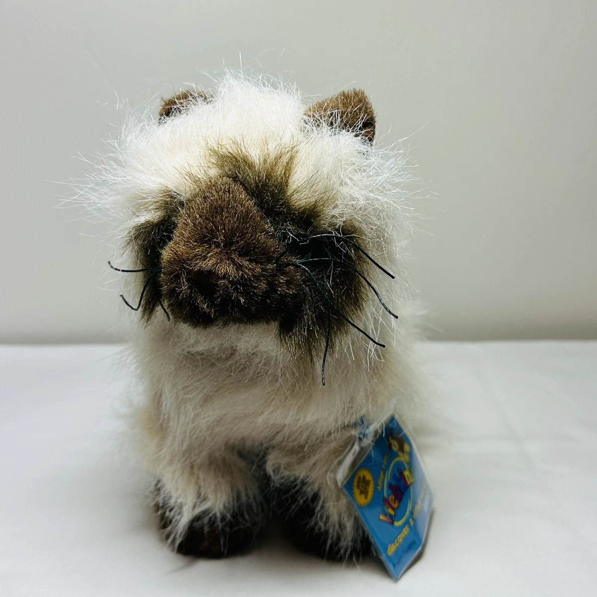 Webkinz 2024 himalayan cat