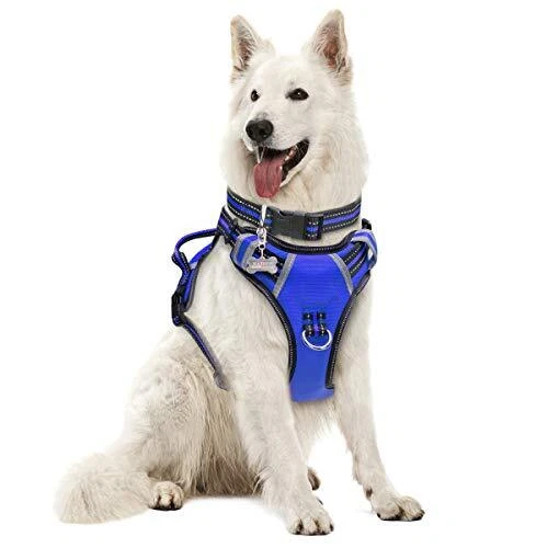 Dog Harness No Pull, Pet Harnesses with Dog Collar, Adjustable XL Blue
