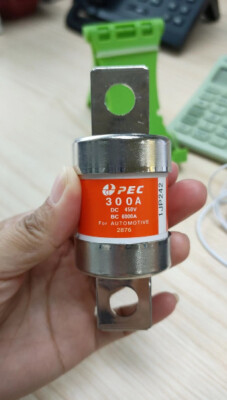 1pcs For PEC 300A DC450V BC6000A New Energy High Voltage Automotive Fuse