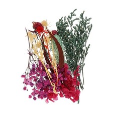 Natural Dried Flower Set, Dried Pressed Flowers Pink Purple