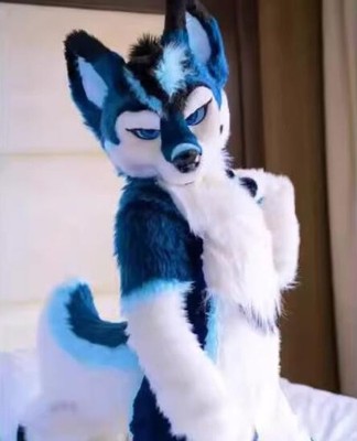 Long Fur Husky Dog Fox Mascot Costume Fursuit Halloween Suit Cosplay