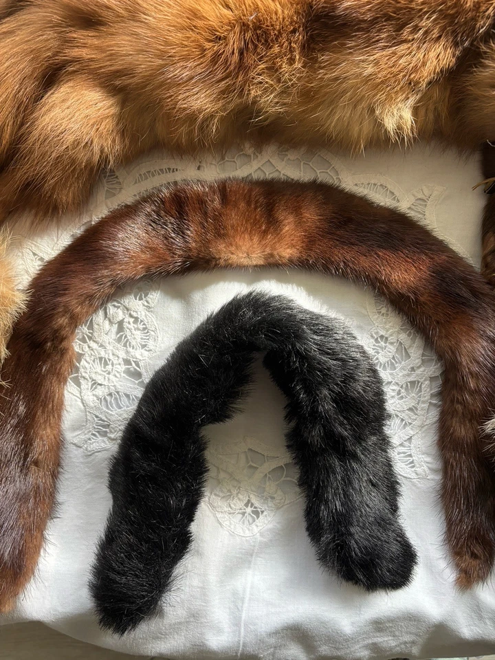 PIELES VINTAGE Foto 3 de 4