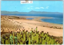 Postcard - The beach of "Sotavento", Fuerteventura - Spain