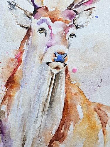 Original watercolour painting signed by Elle Smith Art of A Stag, wall art, - Picture 7 of 9
