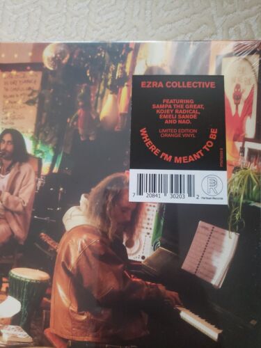 RARE SIGNED EZRA COLLECTIVE Where I'm Meant To Be ORANGE Double VINYL LP - Picture 3 of 5